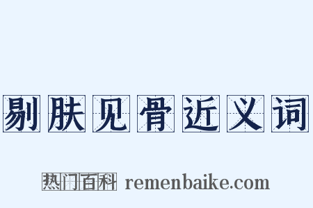 剔肤见骨近义词是什么意思的图片